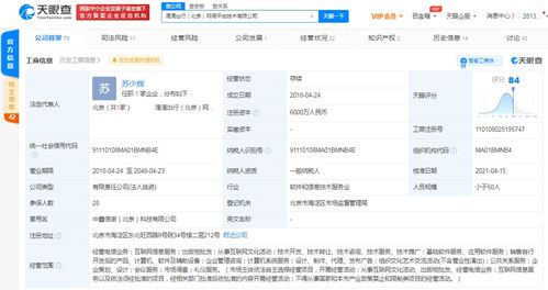 計(jì)算機(jī)軟件的技術(shù)開發(fā)與銷售 創(chuàng)新驅(qū)動與市場拓展的雙輪驅(qū)動